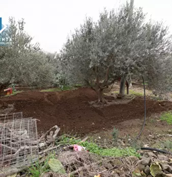 Foto annuncio 14