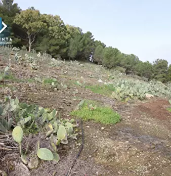 Foto annuncio 17