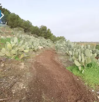 Foto annuncio 18