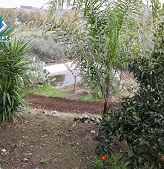 Foto annuncio 20