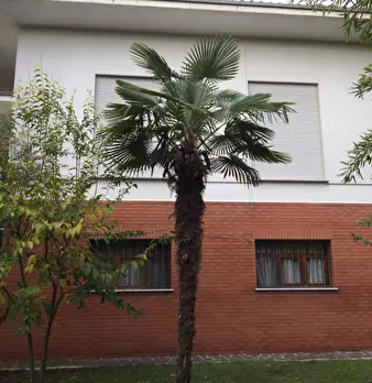 Foto annuncio 6