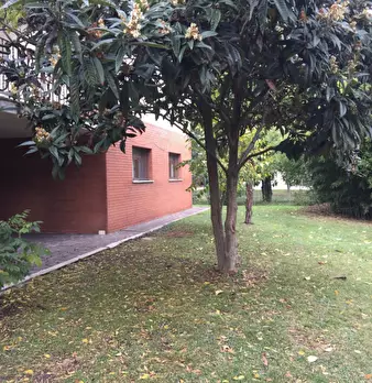 Foto annuncio 12