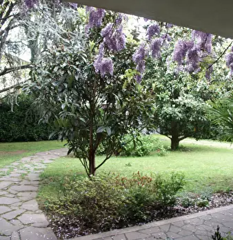 Foto annuncio 13