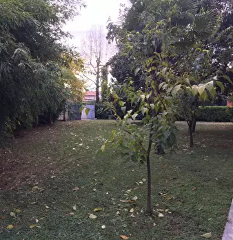 Foto annuncio 15