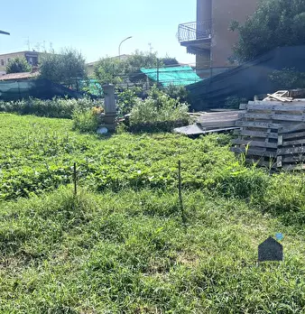 Foto annuncio 8