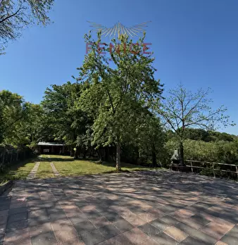 Foto annuncio 28