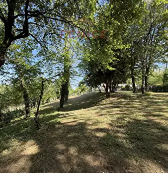 Foto annuncio 34