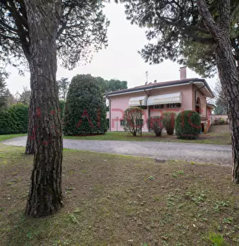 Foto annuncio 46