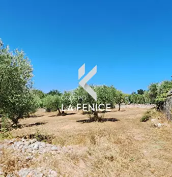 Foto annuncio 16
