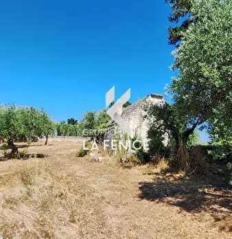 Foto annuncio 20