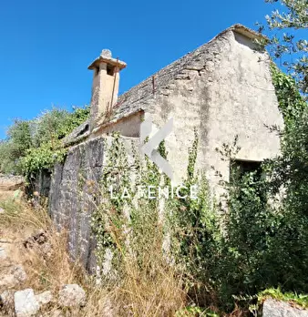 Foto annuncio 22