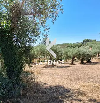 Foto annuncio 27