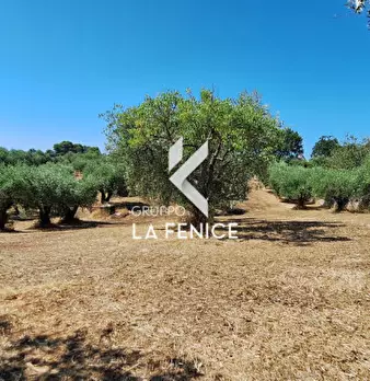 Foto annuncio 28