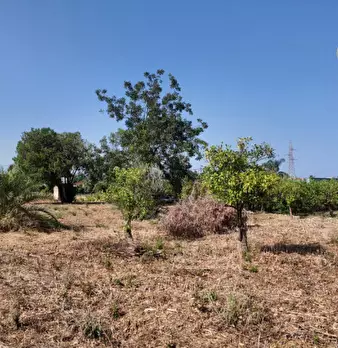 Foto annuncio 4