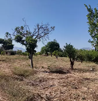 Foto annuncio 7