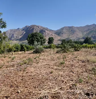 Foto annuncio 9