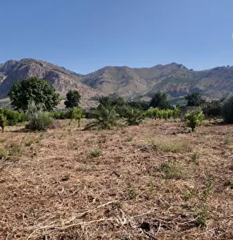 Foto annuncio 12