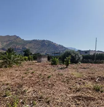 Foto annuncio 14