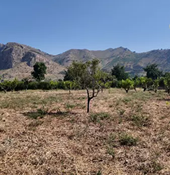 Foto annuncio 16
