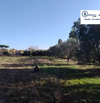Foto annuncio 2