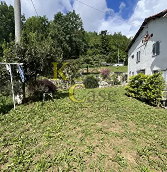 Foto annuncio 51