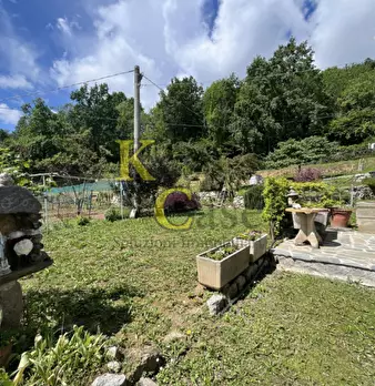 Foto annuncio 52