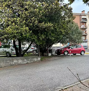 Foto annuncio 5