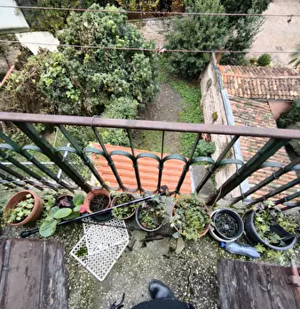 Foto annuncio 11