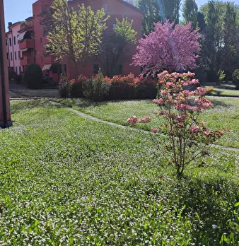 Foto annuncio 4