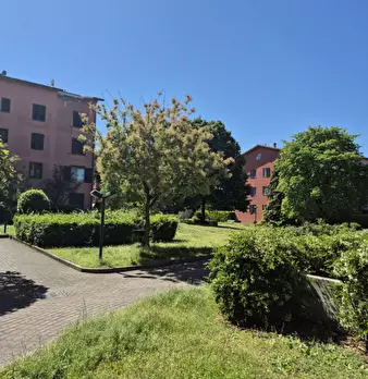 Foto annuncio 6