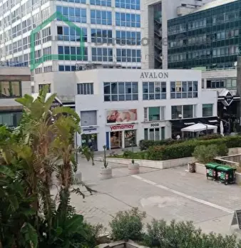 Foto annuncio 10