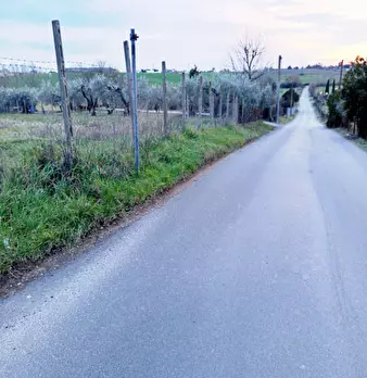 Foto annuncio 2