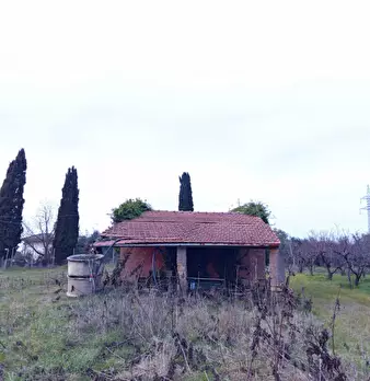Foto annuncio 7