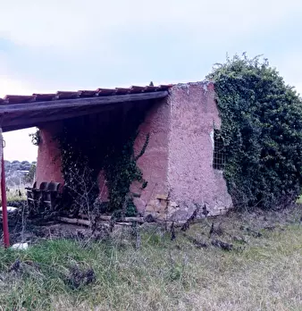 Foto annuncio 8