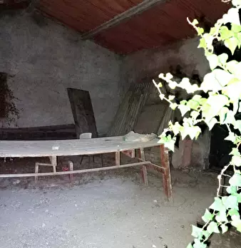 Foto annuncio 9