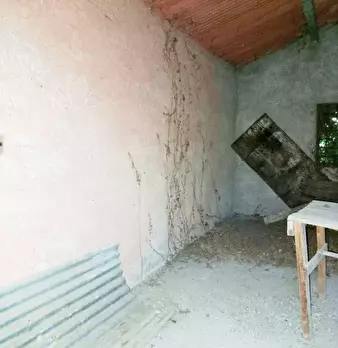 Foto annuncio 10