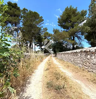 Foto annuncio 11