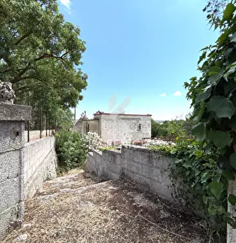 Foto annuncio 19