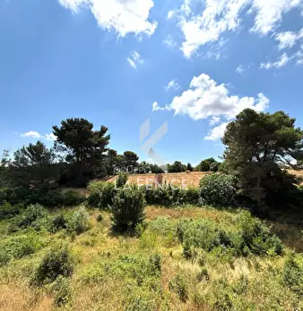 Foto annuncio 25