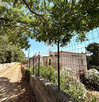 Foto annuncio 26