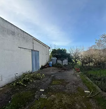 Foto annuncio 21