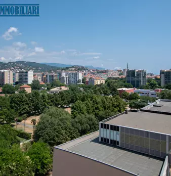 Foto annuncio 11