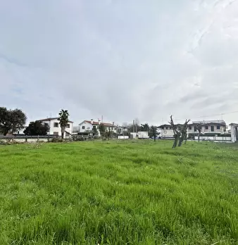 Foto annuncio 4