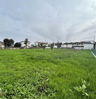 Foto annuncio 11