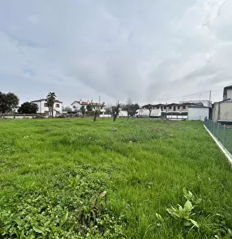 Foto annuncio 12