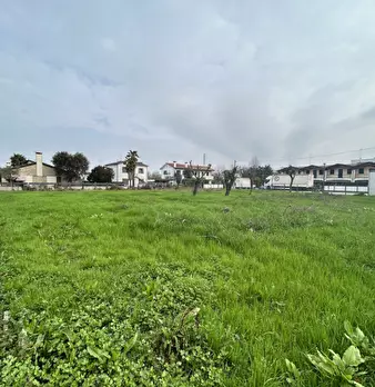 Foto annuncio 13