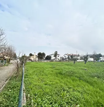 Foto annuncio 17