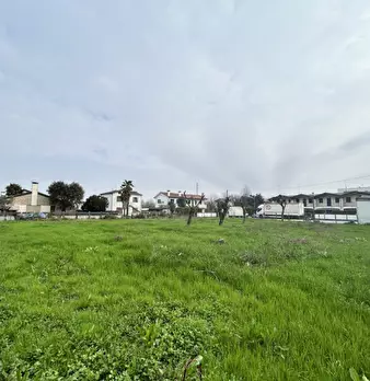 Foto annuncio 18