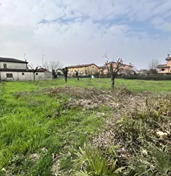 Foto annuncio 29