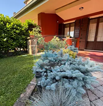 Foto annuncio 38